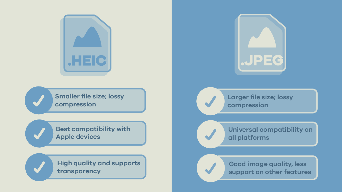 How to Open and Convert HEIC Files to JPEG 1 HEIC vs JPEG example