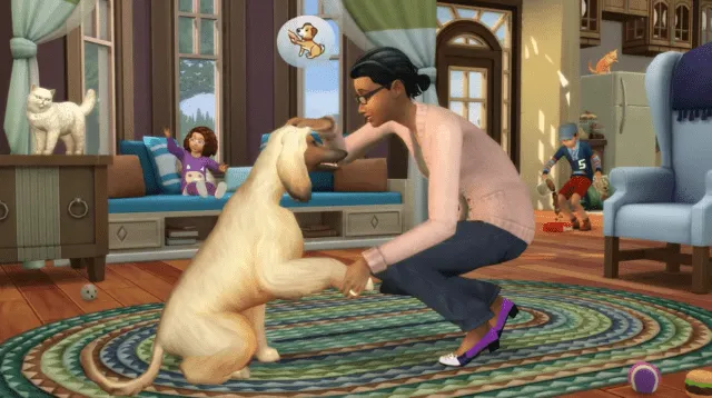 Cats and Dogs