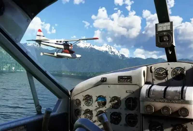 Microsoft Flight Simulator