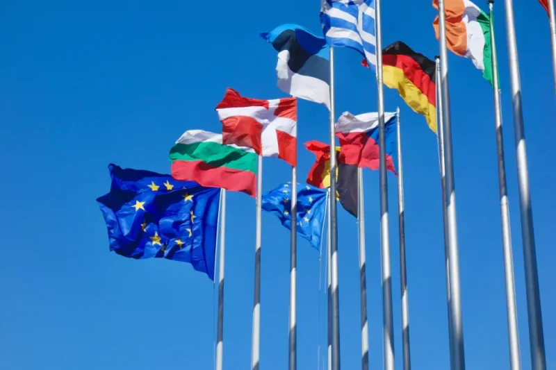 Dronovi čitaju registarske tablice 2 EU zakon za zaštitu dece