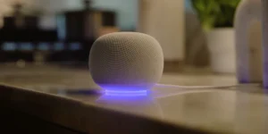 Vrhovni sud potvrdio, TikTok se gasi u Americi 2 Google Home Speaker (2026)