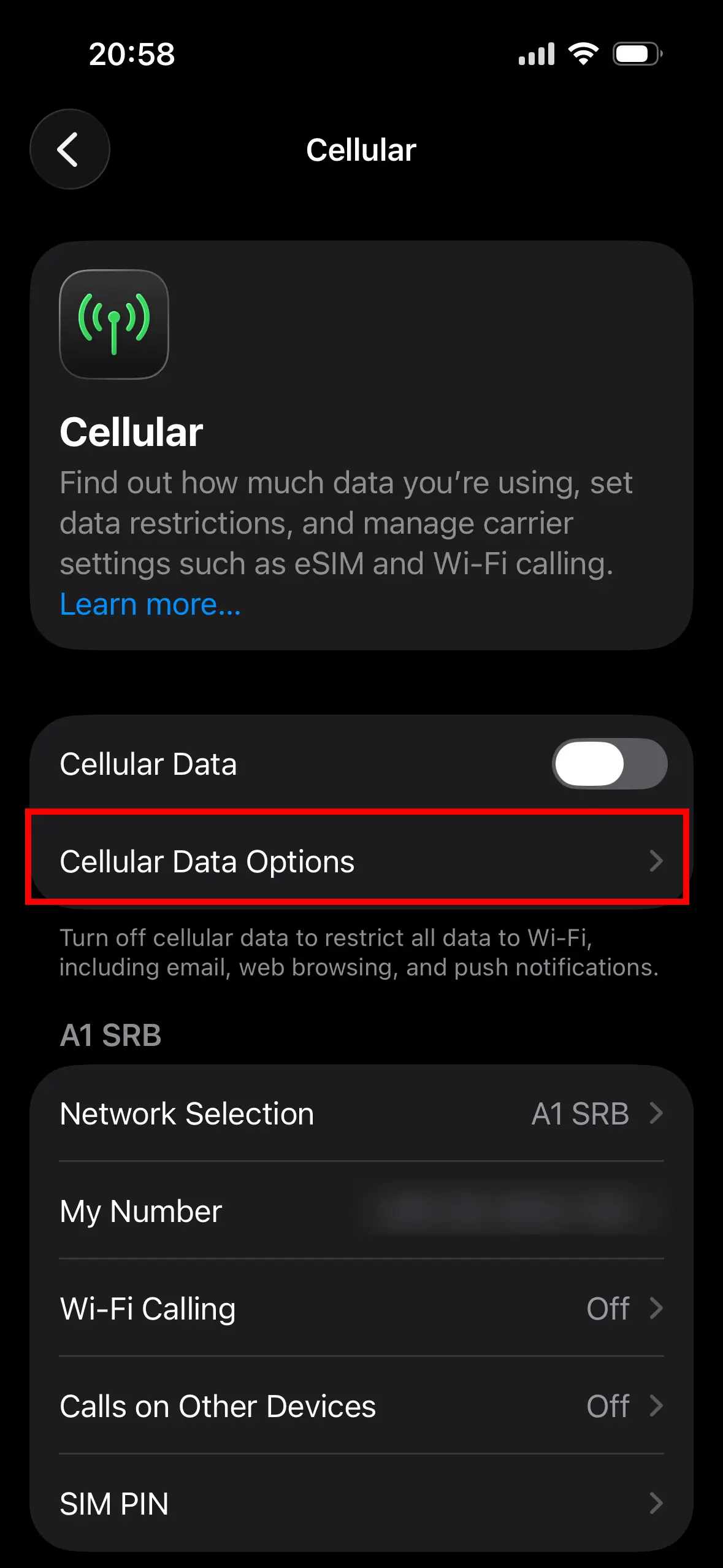 5G on iOS settings 2 How to turn on 5G on iPhone