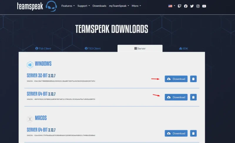 Kako instalirati TeamSpeak 3 server u 2026.