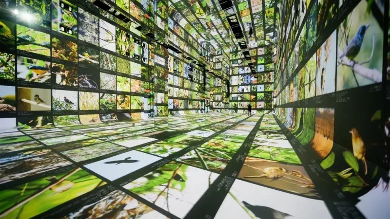 AI Artist Residency program