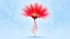 Midnight Mimosa malver ugrađen u firmver jeftinih Android telefona